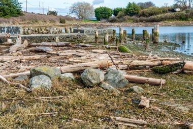 Oak Harbore, Washington 'daki Windjammer Park' tan bir manzara fotoğrafı..