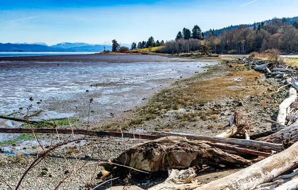 A veiw of mud flats with ocean water and mountains in the distance. Phot taken near Anacordes, Washington.