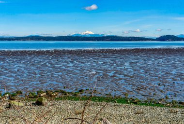 Okyanus suyu ve dağların olduğu çamurlu düzlükler. Fotoğraf Anacortes, Washington yakınlarında çekildi..