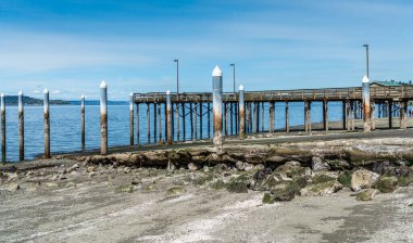 A pier at low tide at Redondo Beach in Washington State. clipart