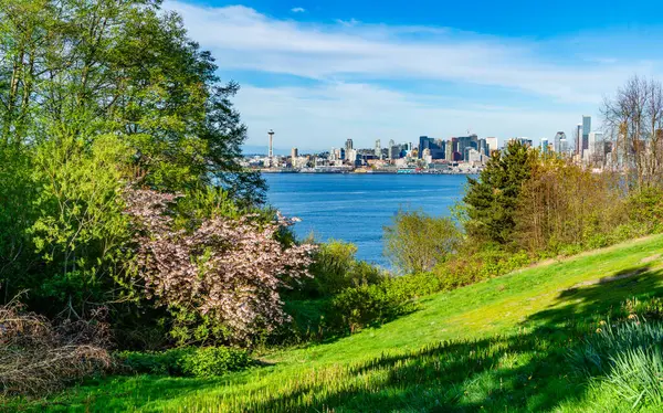 Batı Seattle, Washington 'daki bir tepeden Seattle' ın ufuk çizgisi.