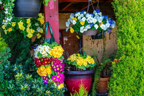 Hanging Flower Pots Home Alki Beach West Seattle Washington — Stock Photo, Image