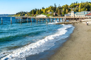 Redondo Beach, Washington 'daki rıhtım manzarası.