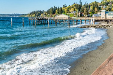 Redondo Beach, Washington 'daki rıhtım manzarası.