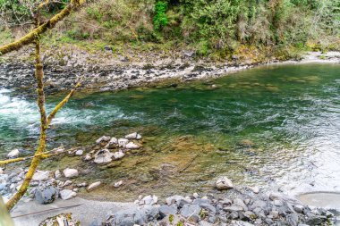 Washington 'daki Snoqualmie Nehri' nde kayalar suyun altında görülebilir. Statel.
