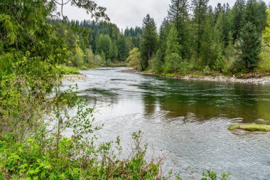 İlkbaharda Washington 'da Snoqualmie Nehri manzarası.