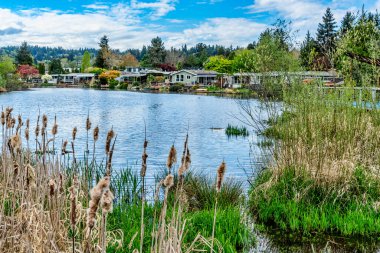 Kenmore, Washington 'daki Sammamish Nehri kıyısı..