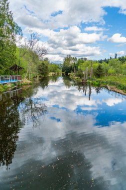 Kenmore, Washington 'daki Sammamish Nehri manzarası.