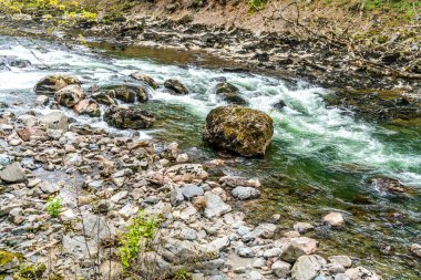 Washington 'daki Snoqualmie Nehri' nde Rocky Rapids.