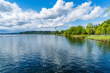 Renton, Washington 'daki Coulon Park' ın kıyı şeridi manzarası.