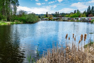 Kenmore, Washington 'daki Sammamish Nehri kıyısı..