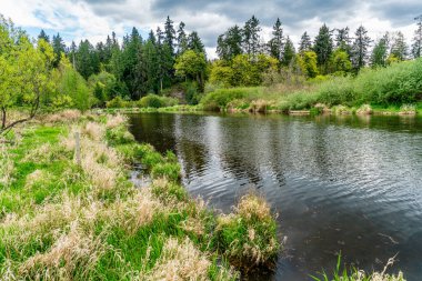 A view of the Sammamish River in Kenmore, Washington. clipart