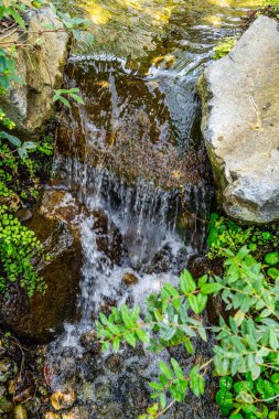 Washington Federal Yolu 'ndaki bir serada akan suyun yakın çekim görüntüsü..