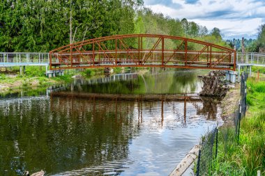 Kenmore, Washington 'daki bir şehir parkında yürüyen bir brdige manzarası.