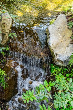 Washington Federal Yolu 'ndaki bir serada akan suyun yakın çekim görüntüsü..