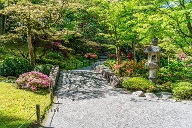 Bir patika Seattle, Washington 'da bir Japon bahçesinde çiçek..