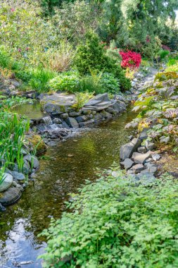 Baharda Seatac, Washington 'da bir bahçedeki derenin manzarası.