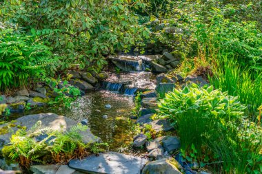 Baharda Seatac, Washington 'da bir bahçedeki derenin manzarası.