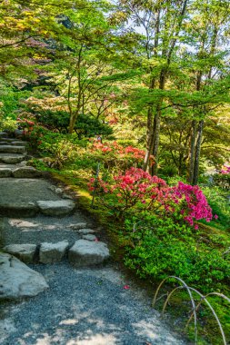 A view of a garden with pond and flowers in a garden in Seattle, Washington.