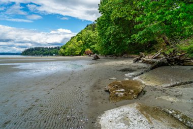 Washington 'daki Dash Point Eyalet Parkı' nda sahil manzarası ve Puget Sound..
