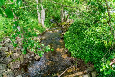Des Moines, Washington 'daki Tuzlu Su Parkı' nda küçük bir dere..