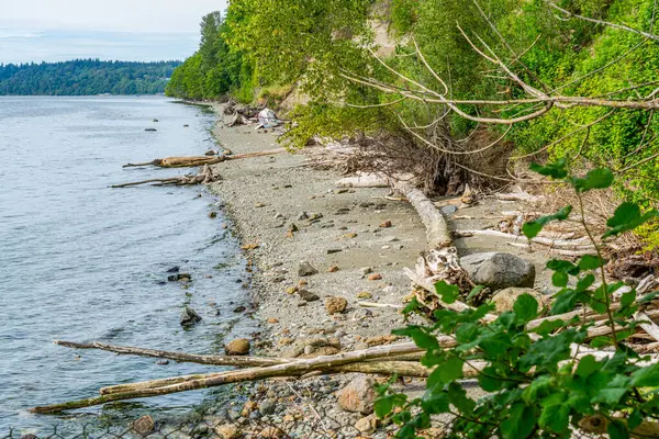 Washington, Des Moines 'teki Saltwater State Park' ın sahil şeridi manzarası.