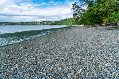Burien, Washington 'daki Seahurst Sahil Parkı' nda kayalar kıyıları kaplıyor..