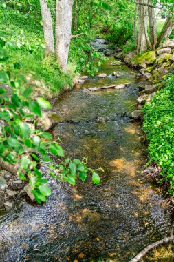 Des Moines, Washington 'daki Tuzlu Su Parkı' nda küçük bir dere..