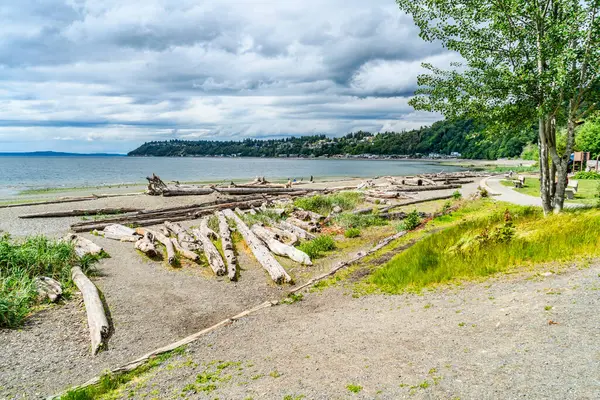 Burine, Washington 'daki Seahurst Sahil Parkı manzaralı..