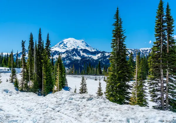 Washington 'daki Chinook Geçidi' nden Rainier Dağı manzarası.