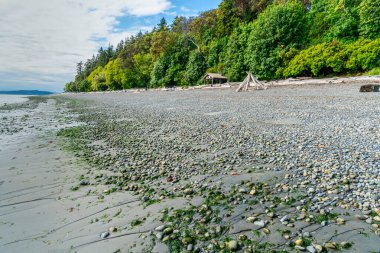 Batı Seattle, Washington 'daki Lincoln Park' taki kayalık sahilin manzarası..