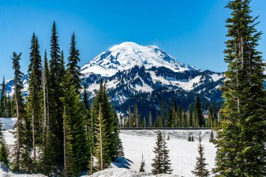Washington 'daki Chinook Geçidi' nden Rainier Dağı manzarası.