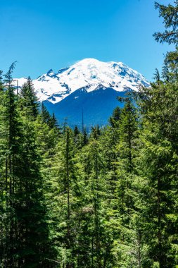 Washington 'daki 4110 numaralı otobandan Rainier Dağı manzarası.