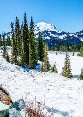 Washington 'daki Chinook Geçidi' nden Rainier Dağı manzarası.