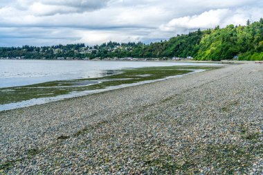 Burien, Washington 'daki Seahurst Beach Park' taki deniz manzaralı evler. Gelgit azaldı..