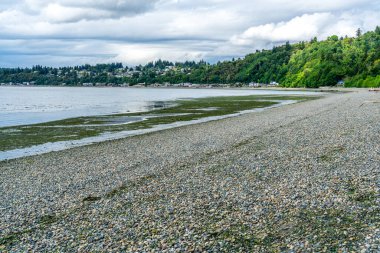 A view of waterfront homes at Seahurst Beach park in Burien, Washington. The tide is low. clipart
