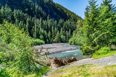 Washington 'daki 410 numaralı otobandan Beyaz Nehir manzarası.
