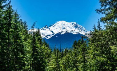 Washington 'daki 4110 numaralı otobandan Rainier Dağı manzarası.