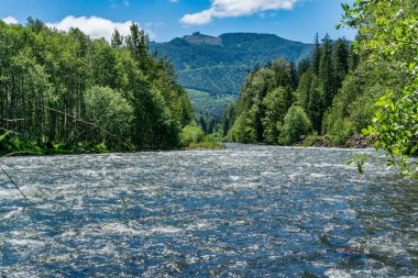 Washington 'da, HIghway 410 yakınlarındaki Beyaz Nehir' de ağaçlar var..
