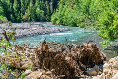 Washington 'daki 410 numaralı otobandan Beyaz Nehir manzarası.