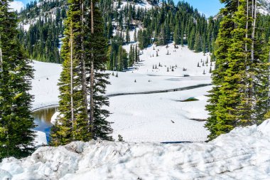 Washington 'daki Chinook Geçidi' nde karla çevrili bir dere manzarası..