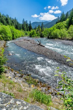 Washington 'daki 410 numaralı otobandan Beyaz Nehir manzarası.