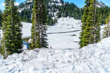 Washington 'daki Chinook Geçidi' nde karla çevrili bir dere manzarası..