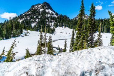 Washington 'daki Chinook Geçidi' nde karla çevrili bir dere manzarası..