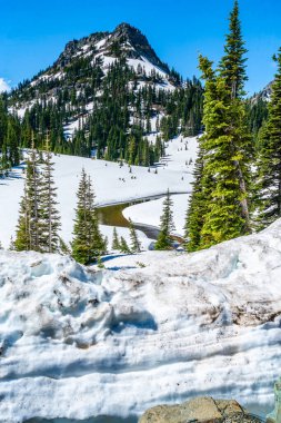 Washington 'daki Chinook Geçidi' nde karla çevrili bir dere manzarası..