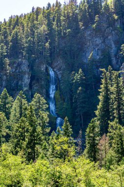Washington 'daki 410 numaralı otobandan Skookum Falls' un manzarası..