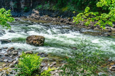 Washington 'da akan Snoqualmie Nehri manzarası.