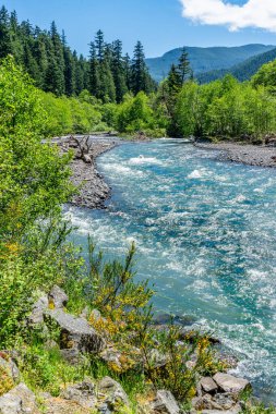 Washington 'daki 410 numaralı otobandan Beyaz Nehir manzarası.