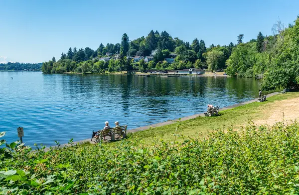 Seattle yakınlarındaki Washington Gölü 'nün kıyı şeridi. Yaz mevsimindeyiz.