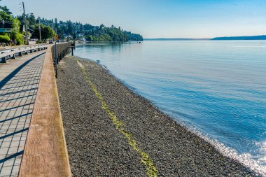 Redondo Beach, Washington 'da deniz kıyısında evleri olan küçük bir koy..